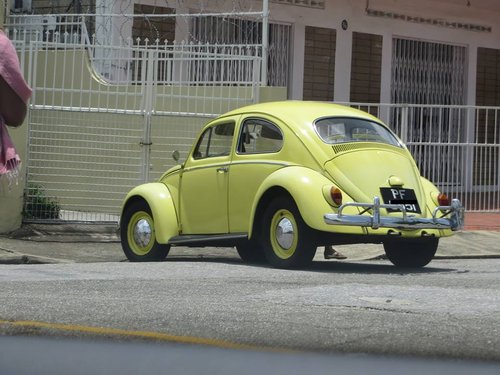Classic VW Bug.jpg
