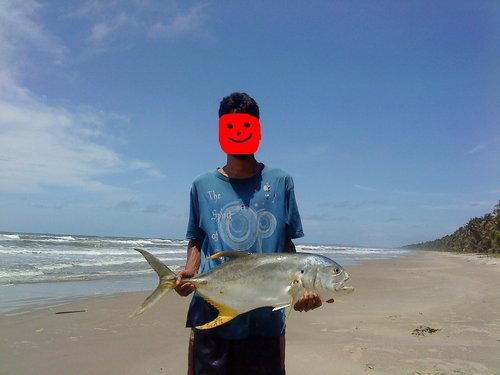 15lb cavalli.JPG