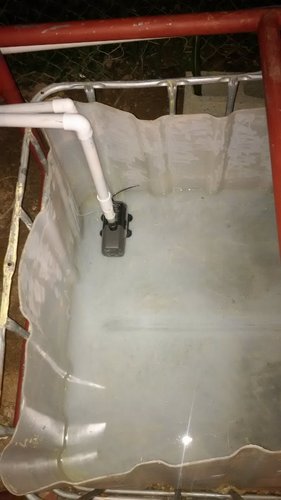 IMG_20160531_204145 (506x900).jpg