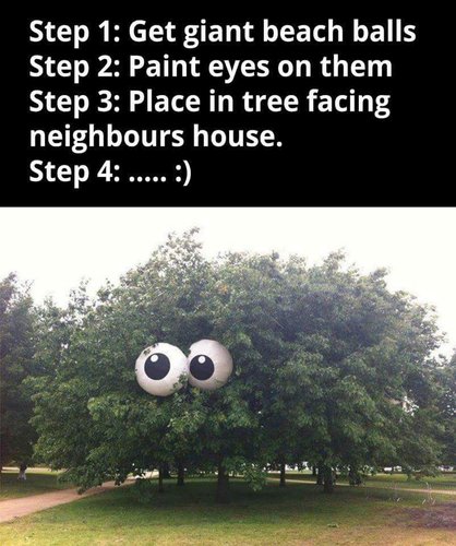 FB_IMG_1466723383251.jpg