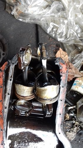 20160704_114418.jpg