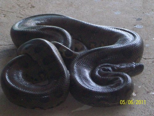 100_73033.JPG