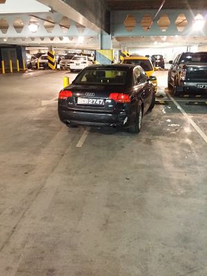 20161025_145020_opt.jpg