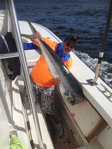 mahi2.jpg