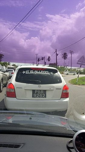 alleged.jpg