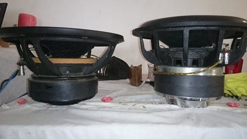 DSC_0623.JPG