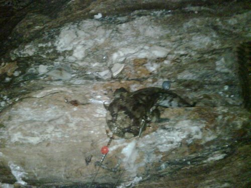 IMG00090-20110624-2319.jpg