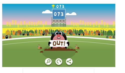 Cricket.JPG