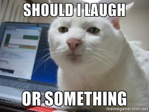 serious-cat-should-i-laugh-or-something.jpg