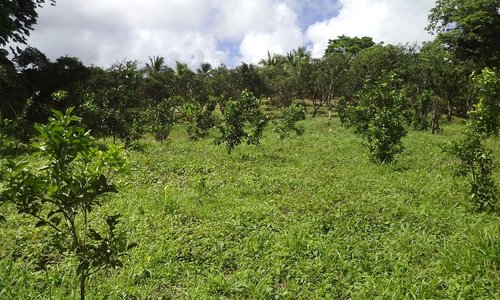 IMG_20170708_100539.jpg