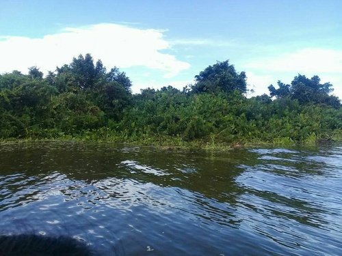 island 3.jpg