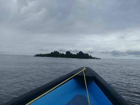 island 2.jpg