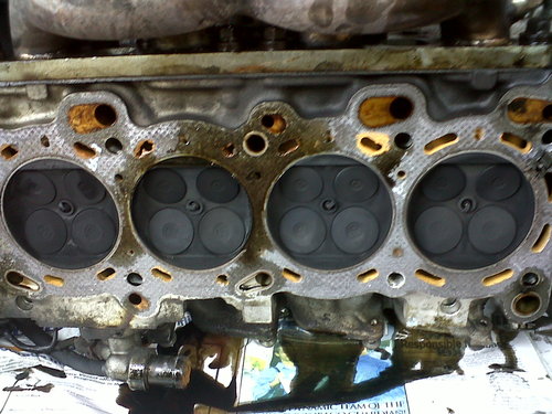IMG00472-20110702-1528.jpg