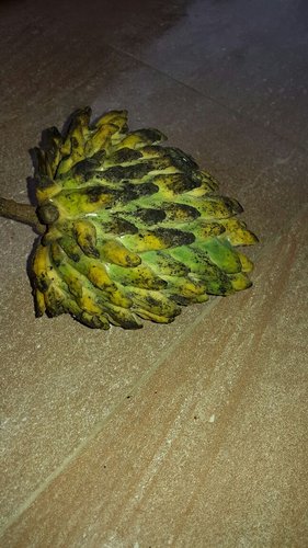 IMG-20170911-WA0000.jpg