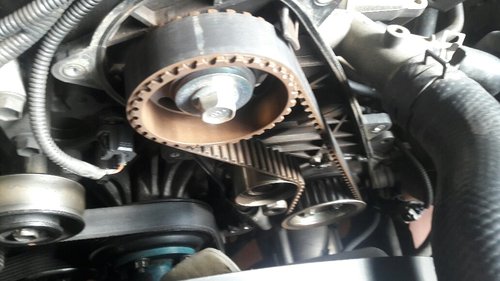 20171209_093953_resized.jpg