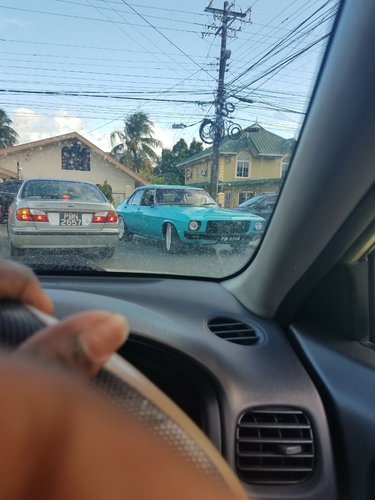 spotted Kingswood is spotted.jpg