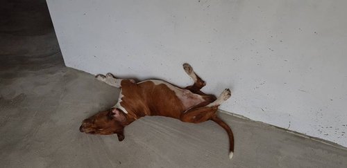 20180421_103634.jpg
