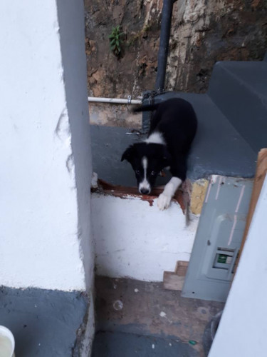 20180512_055027.jpg