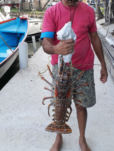 20180603_065716 - Copy.jpg