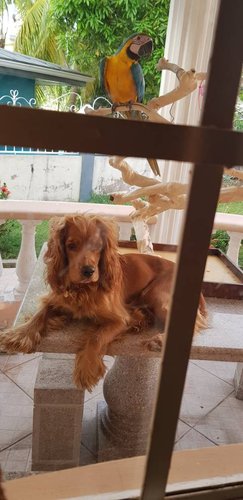 20180512_171610.jpeg