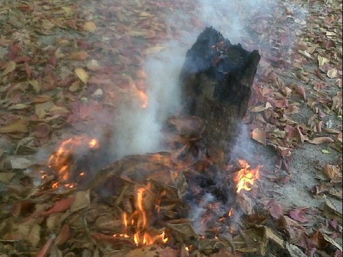 firephoto.jpg