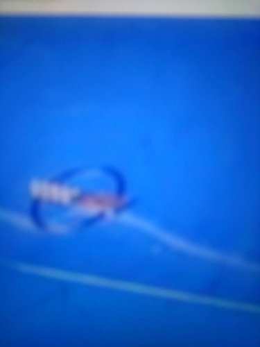 IMG_20180915_082422.jpeg