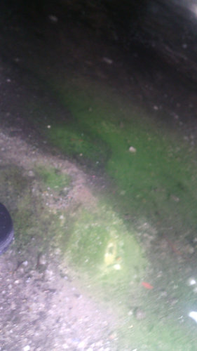 Leaked coolant.jpg