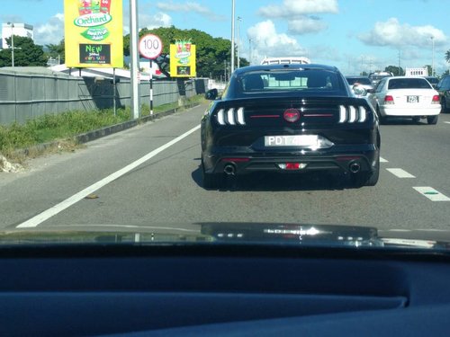 IMG_20181029_154942.jpeg