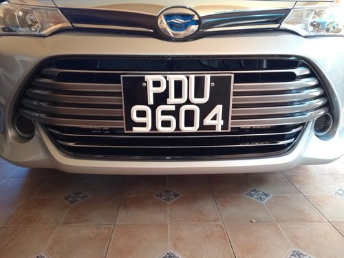 1. Painted Grille.jpg