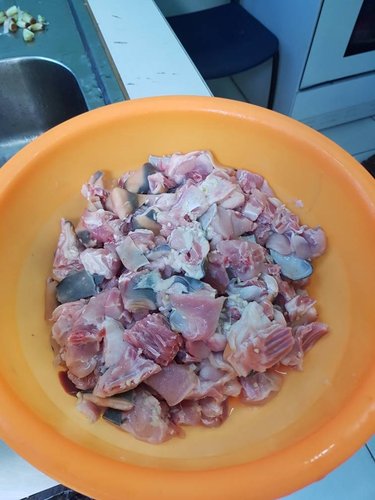 20181130_101556.jpeg