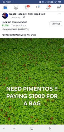 Screenshot_20181204-072950_Facebook.jpeg