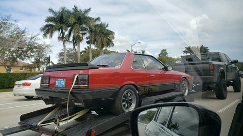 IMG-20190211-WA0020.jpeg