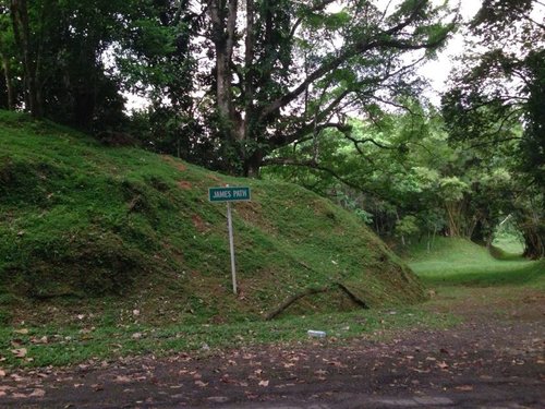 Forest reserve Rd.jpg