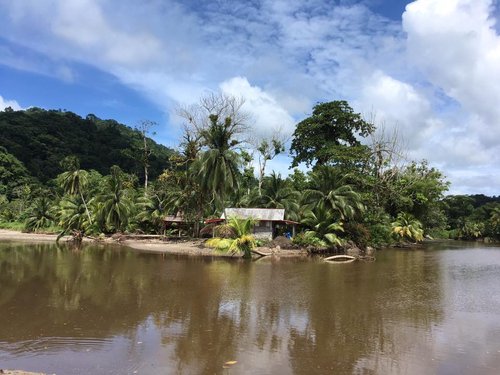 Grand Riviere.jpg