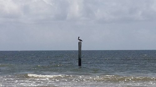 20150921_114057.jpeg