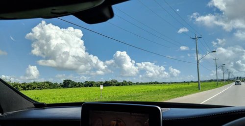 IMG_20171221_113029.jpeg