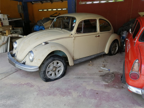 buggie here.png