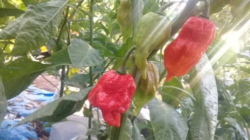 20190505_175308.jpeg