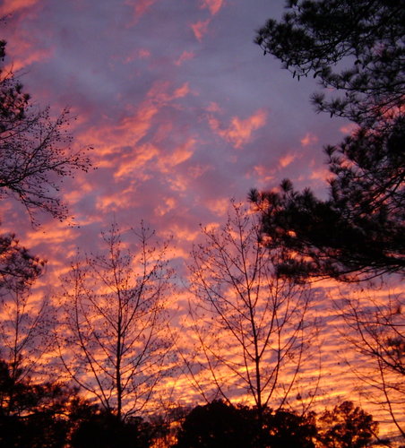 DSC01719-1.JPG