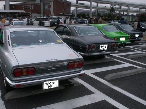 P1[11] (2).jpg