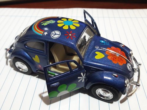 beetle.jpg
