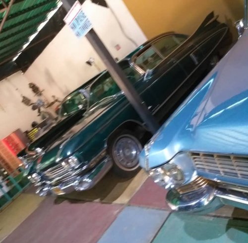 20190728_132526.jpg