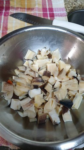 20190324_111426.jpeg