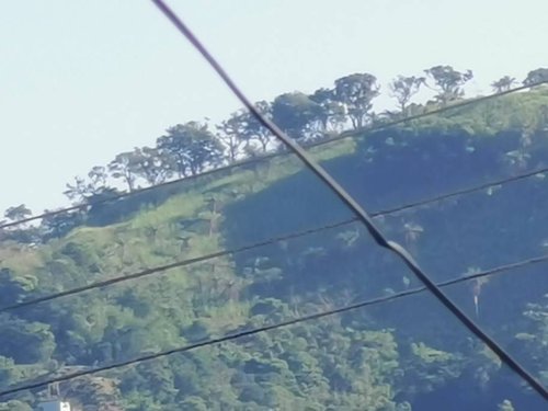 IMG_20190830_074452.jpeg