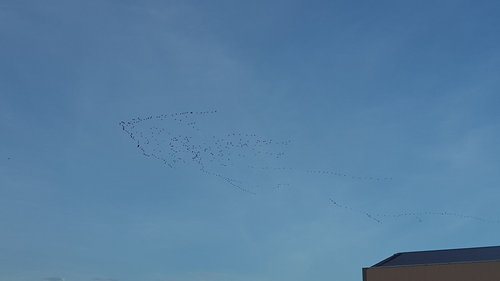 IMG-20190919-WA0023.jpeg
