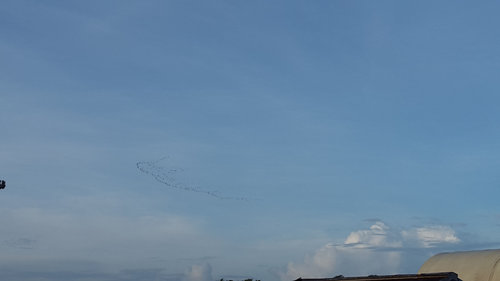 IMG-20190919-WA0021.jpeg