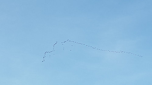 20190919_063206.jpg