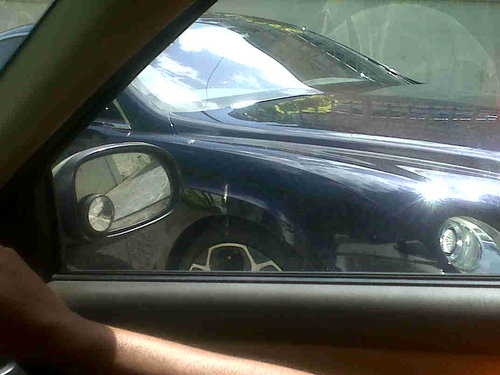 IMG00798-20110814-0929.jpg