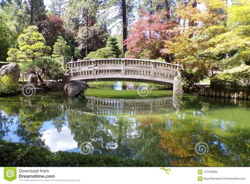 beautiful-landscape-picture-small-wooden-bridge-over-pond-japanese-garden-reflection-water-121429094.jpg