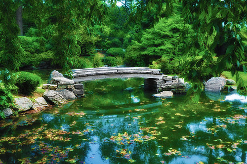 bridge-over-koi-pond-bill-cannon.jpg